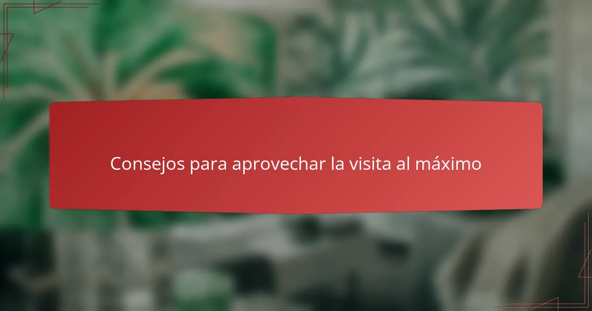 Consejos para aprovechar la visita al máximo