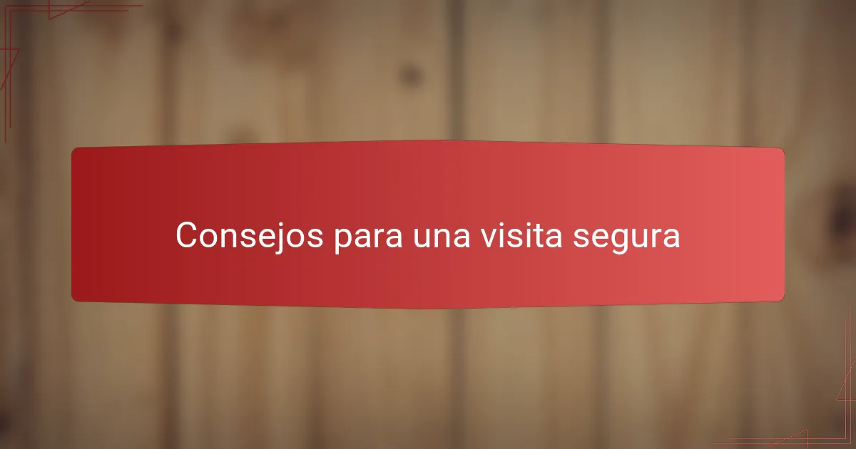 Consejos para una visita segura