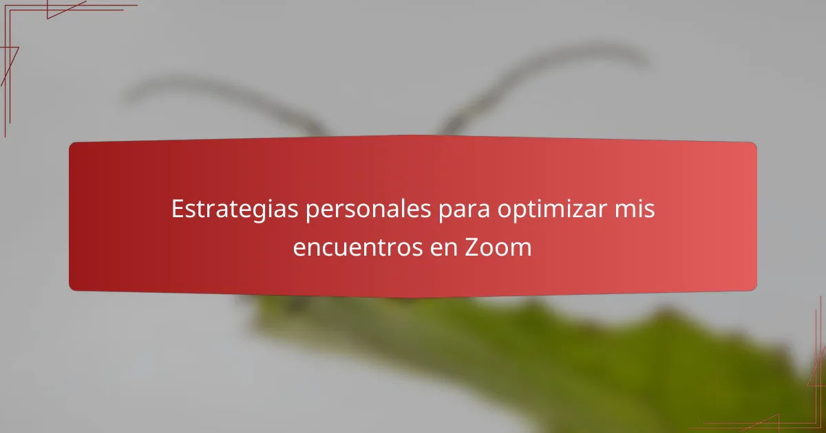 Estrategias personales para optimizar mis encuentros en Zoom