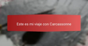 Este es mi viaje con Carcassonne