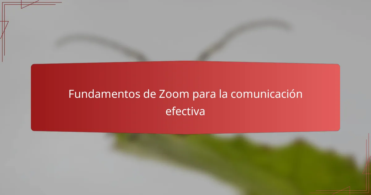 Fundamentos de Zoom para la comunicación efectiva