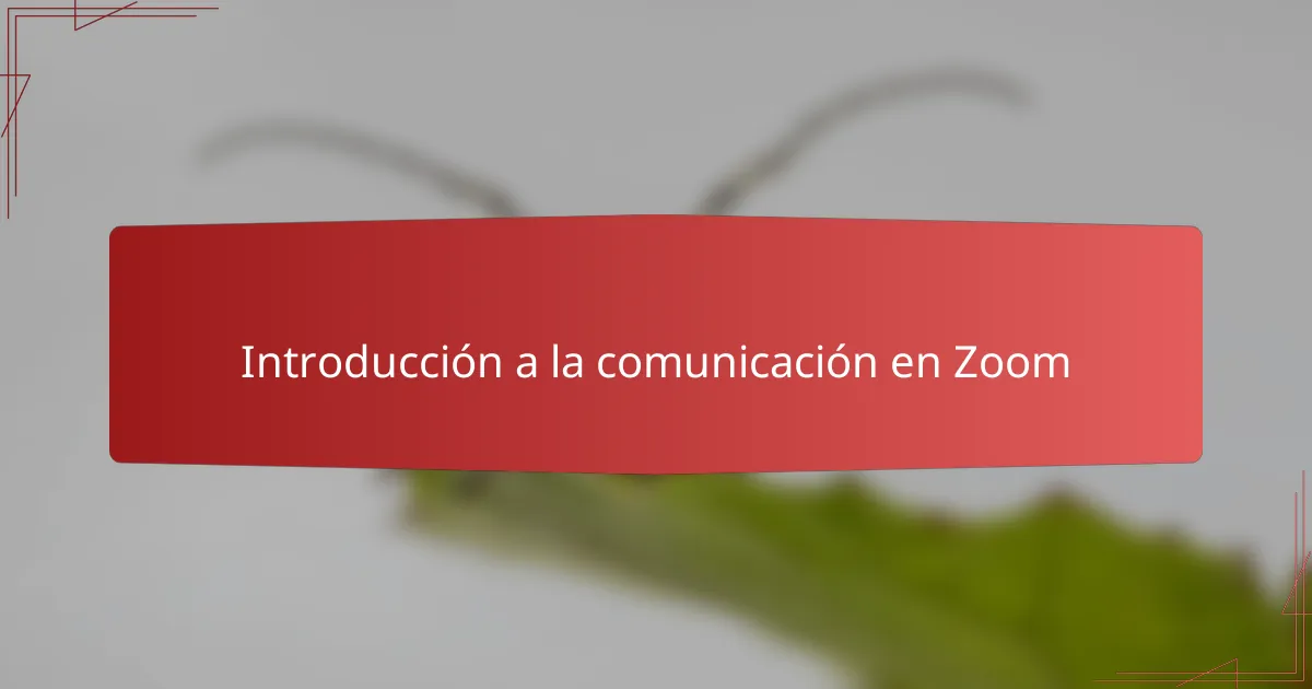 Introducción a la comunicación en Zoom