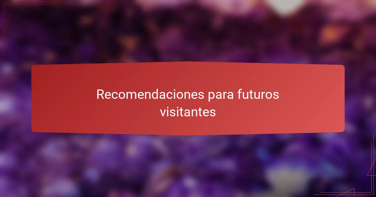 Recomendaciones para futuros visitantes